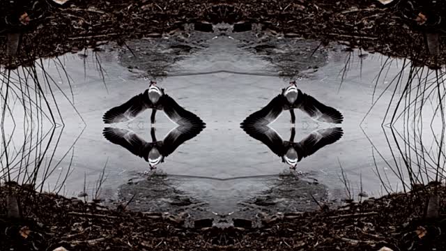 Blankgesture - Tektite (Official music video)