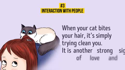 HOW TO UNDERSTAND YOUR CAT BETTER