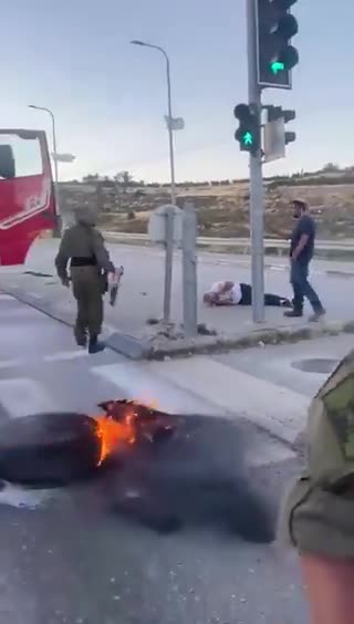 A Palestinian truck driver was attacked by Israeli settlers