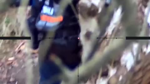 work of snipers on the Ukrainian front