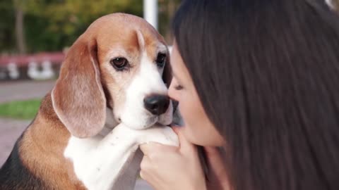 Girl walk about with beagle puppy in autumnal park