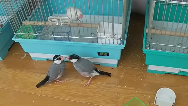 一緒に遊べるかな？