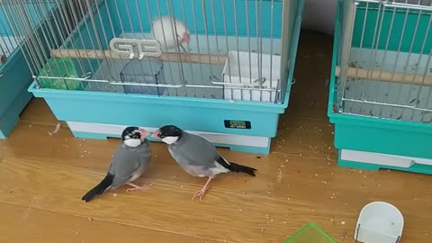 一緒に遊べるかな？