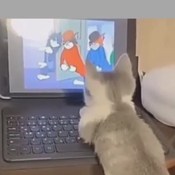 all kids love cartoons