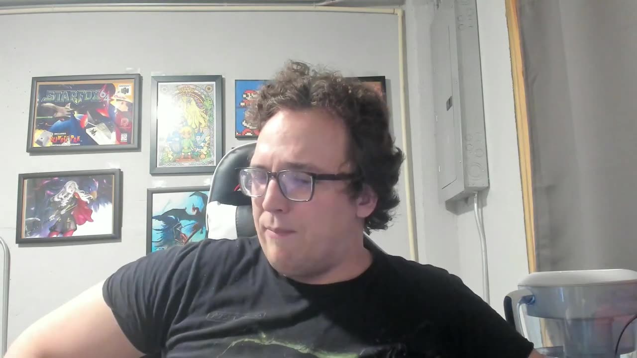 Nintendo fanboy hates emulation