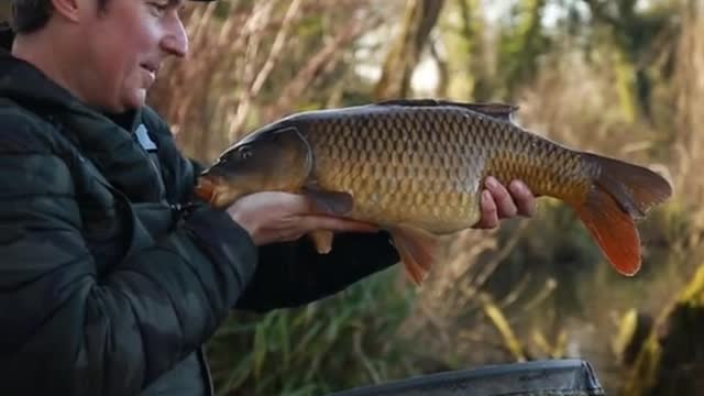 Phil on the method feeder, anyone get a bend in the rod recently