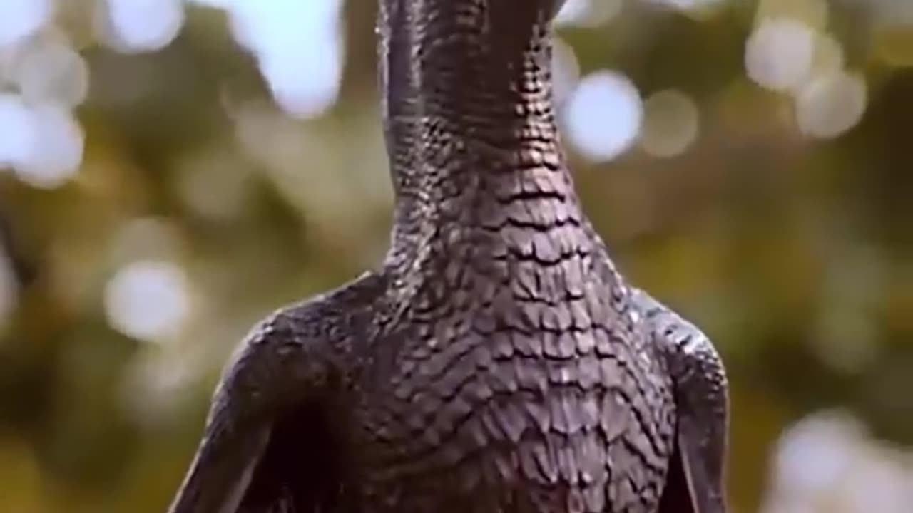 Favorite series
