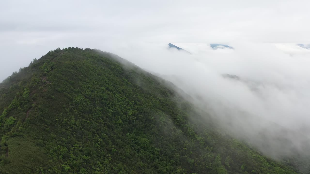 The hill and beautiful moment