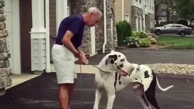 Watching me make out with my dog makes my wife jealous