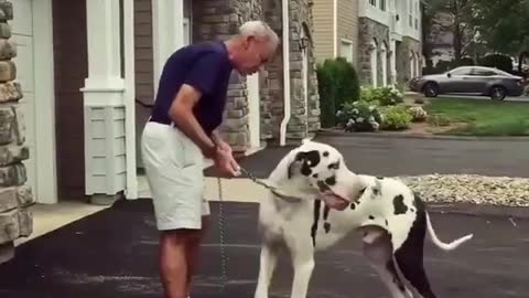 Watching me make out with my dog makes my wife jealous