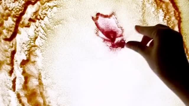 You splash flowers and I splash sand, and then try to make a painting by splashing sand