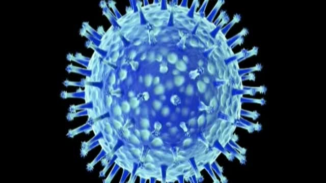 Viruses don't exist. All illness and disease is caused by Big Pharma