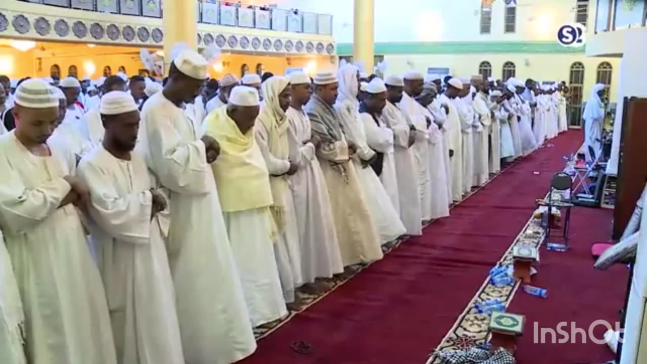 وَلَا تَكُونُوا كَالَّذِينَ نَسُوا اللَّهَ فَأَنسَاهُمْ أَنفُسَهُمْ ۚ أُولَٰئِكَ هُمُ الْفَاسِقُونَ