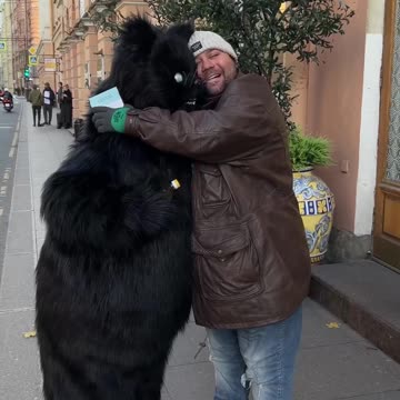 The hippopotamus cat in Saint-Petersburg