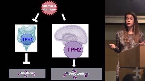 Rhonda Patrick on Diet Gene Interactions, Epigenetics, the Vitamin D, Serotonin Link and DNA Damage