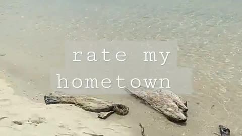 rate my hometown