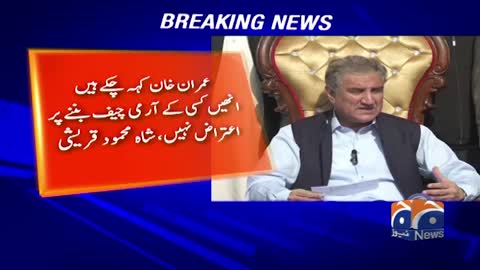 Shah Mehmood Qureshi's big claim about President Arif Alvi