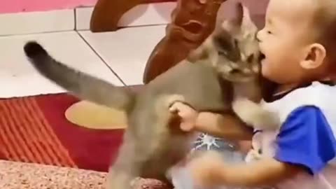 Baby and cat video funny 🤣