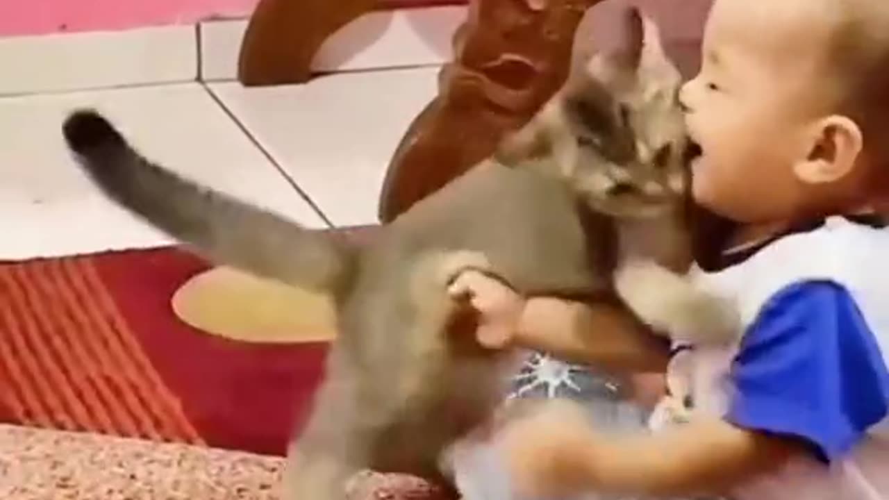 Baby and cat video funny 🤣