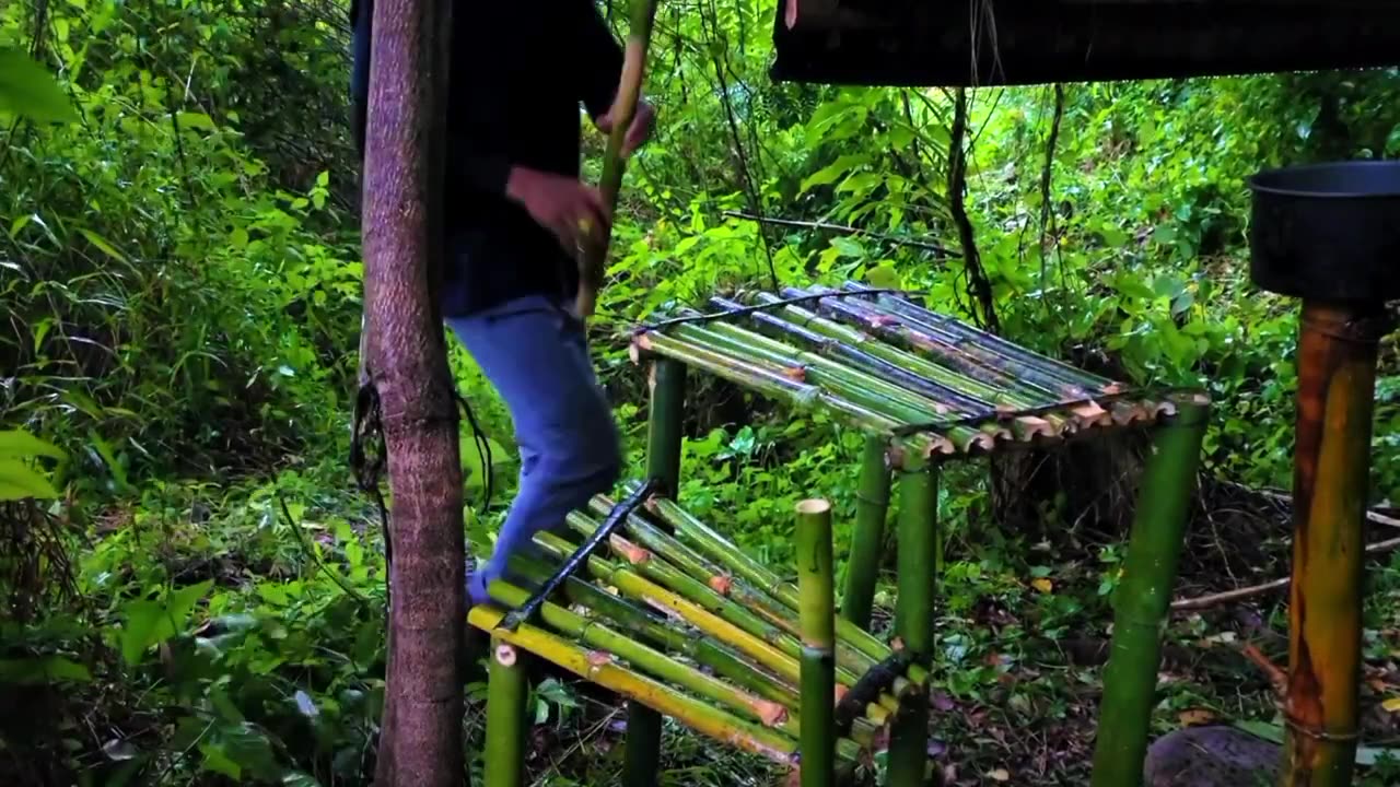 Camping makes a tree house hanging in the forest during heavy rain