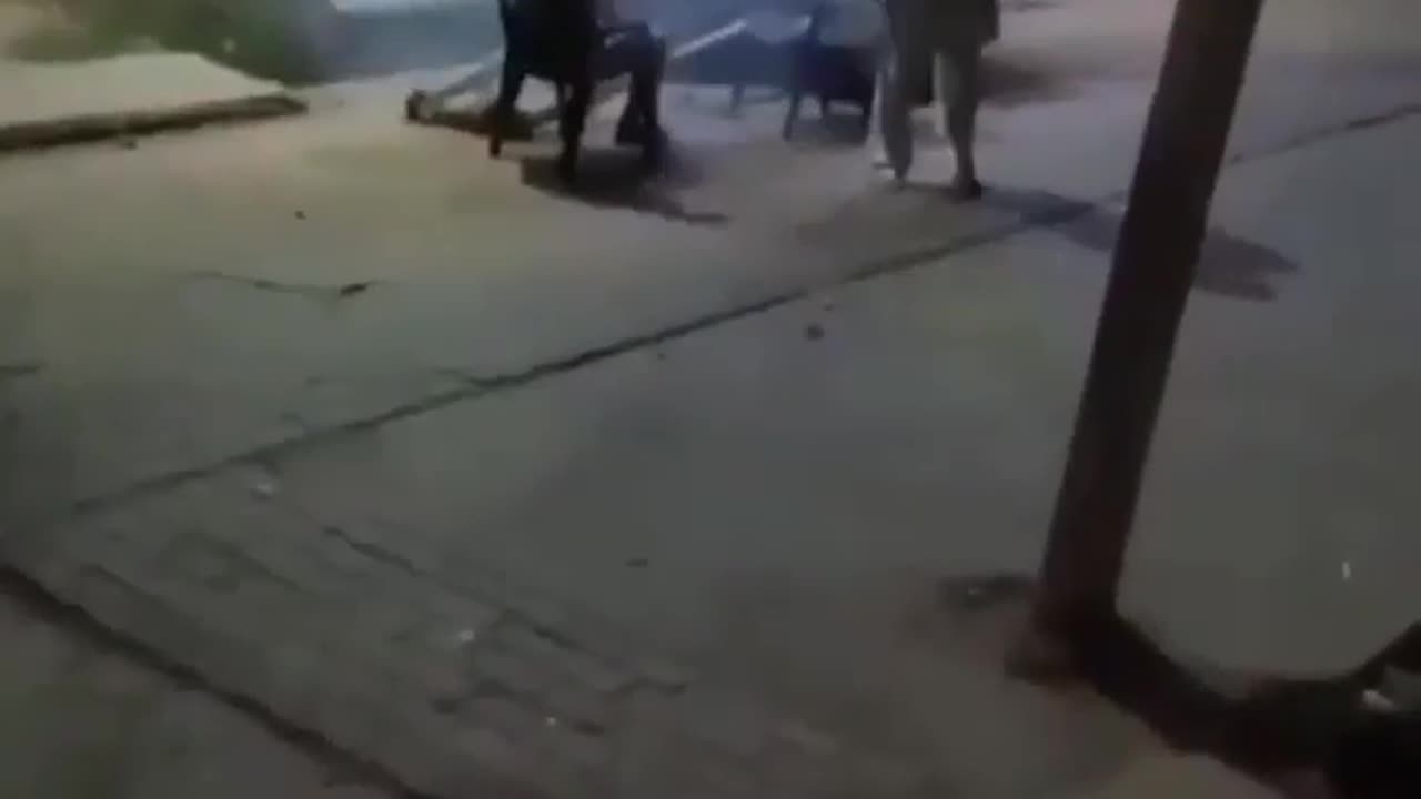 Funny viral moments 2023