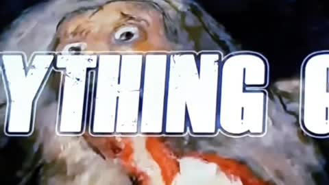 What THE World thinks of Jacindarela