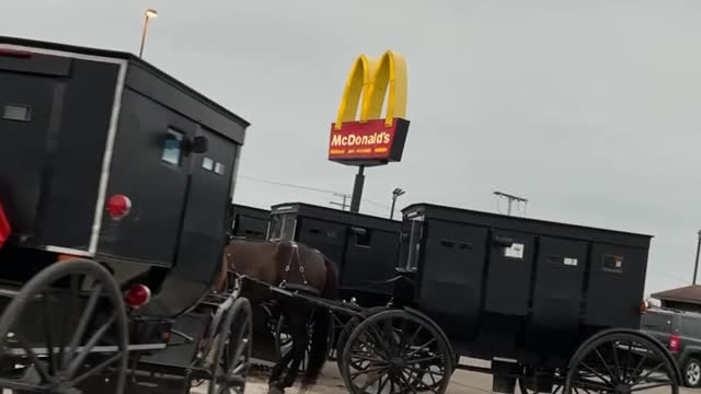 Group of Amish Buggies Parked at McDonald's