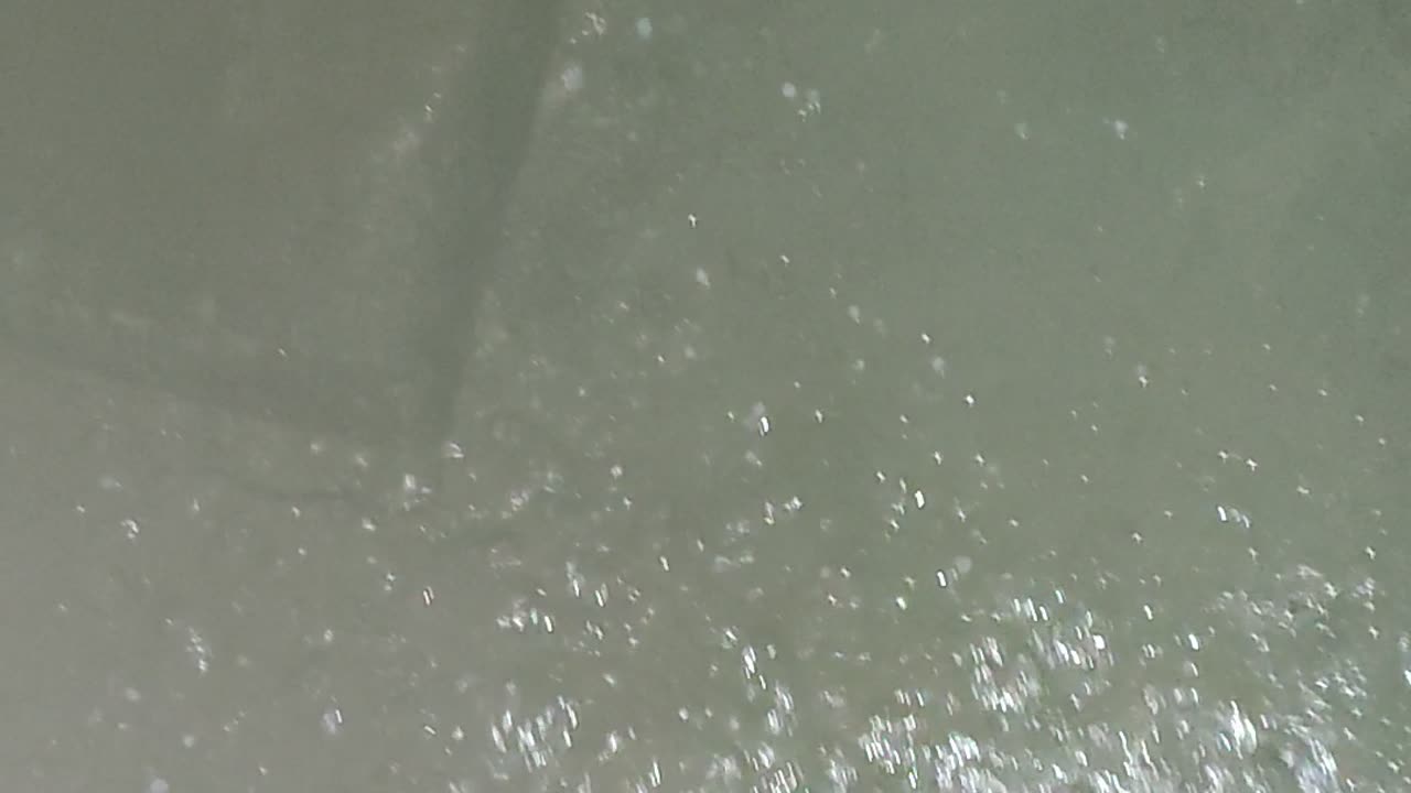 Snow Falling