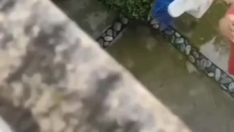 To save the Cat