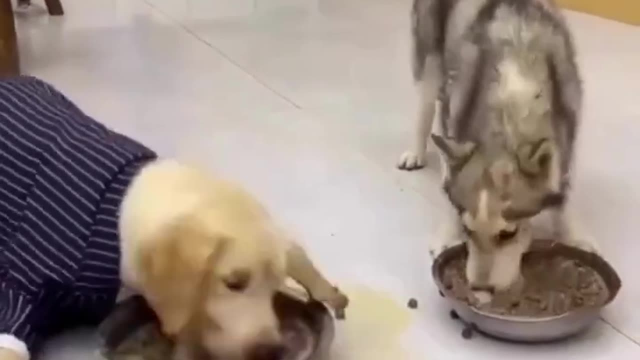 funy