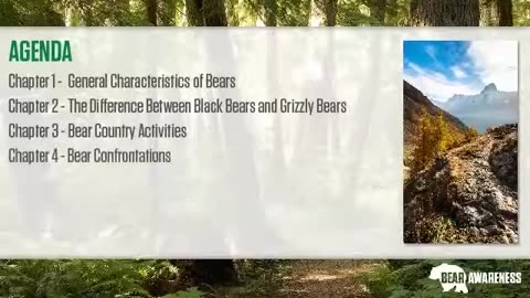 Stay Safe With Comprehensive Bear Safety Training