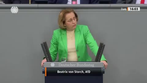 Das Netzwerk der Grünen um Habeck Deutschland