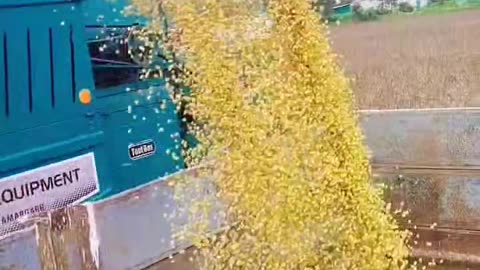Ishwar Farmline Harvest Cutting Soyabean