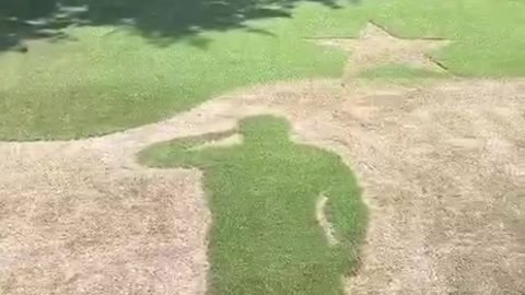 'Merica