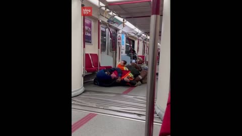 Fight Breaks Out On Toronto Train