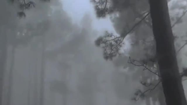 7157520015808269606 - I really like this mysterious and quiet atmosphere