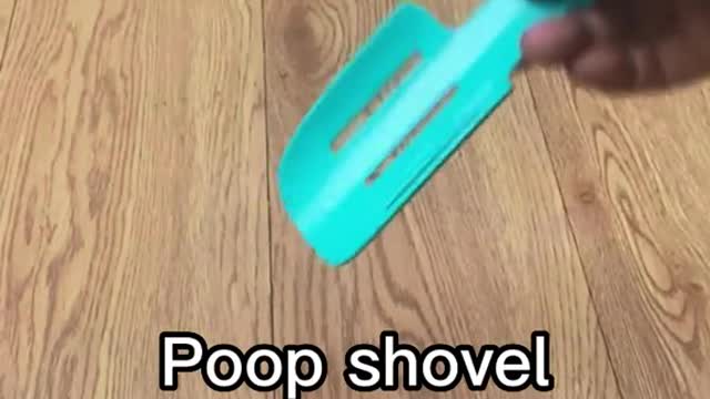 as Amaranta had never been, but on the other hand she was pleasant