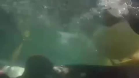 Divers Face To Face With Death