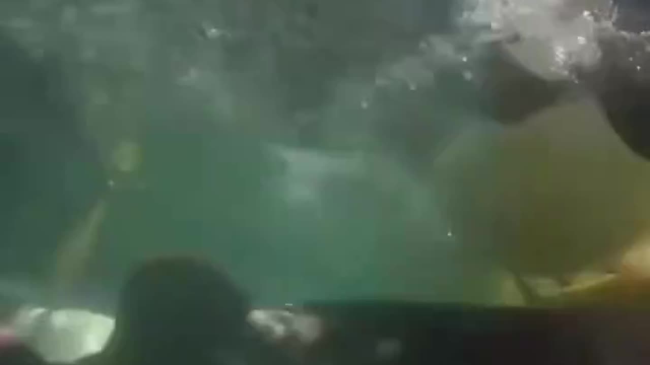 Divers Face To Face With Death