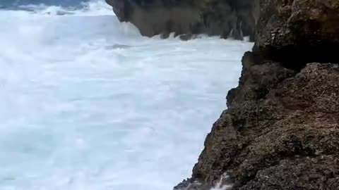 But sea nature can also be unpredictable? Sea nature always by our side?