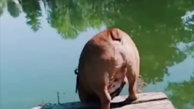 Weeee 2