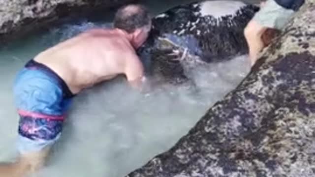 Heroes Save Giant Turtle Trapped In Rope