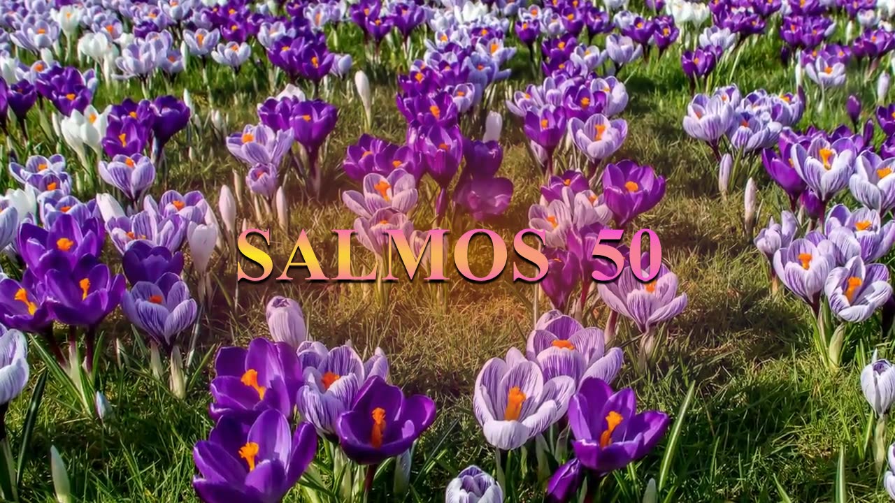 SALMOS 50 - Dramatización: M.Guadalupe Correa