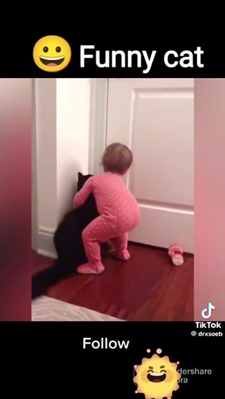 Funny cat play with baby kid