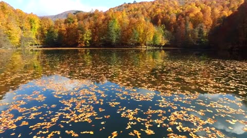 Beautiful nature lake and weather videos