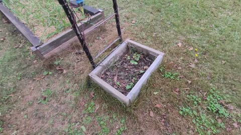 Just Old Ben - Garden & Channel Update November 27, 2024