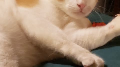 No way, I'm not bored!!