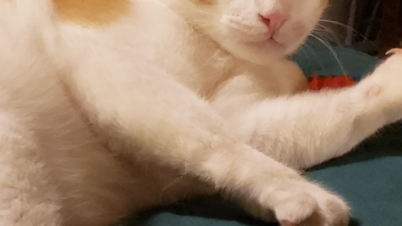 No way, I'm not bored!!