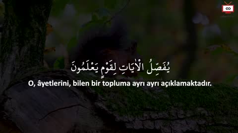 Get rid of the delusions and obsessions that poison your life by listening to this surah.