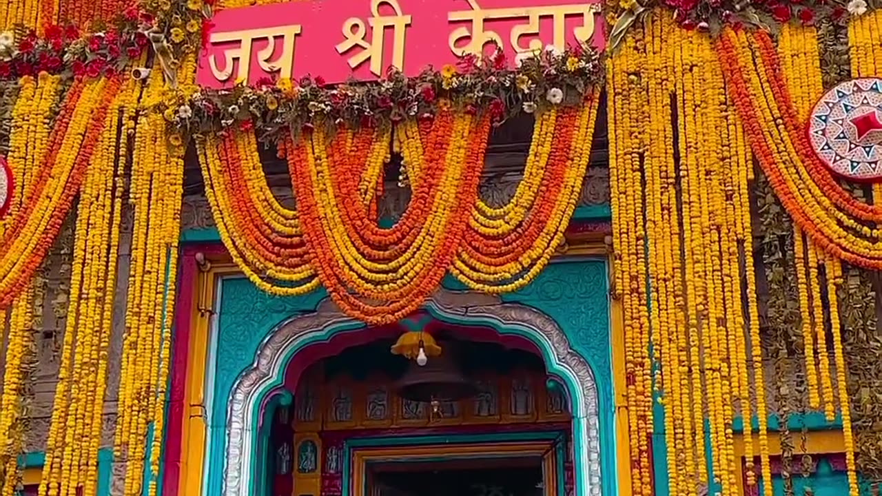 Jai kedarnath Baba ki Jai || har har mahadev 🥰 || Jai mahakal | short feed